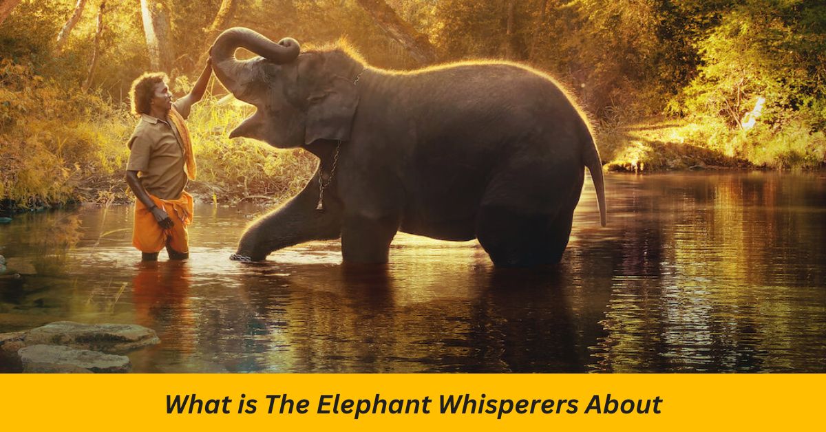 What is the Elephant Whisperers About